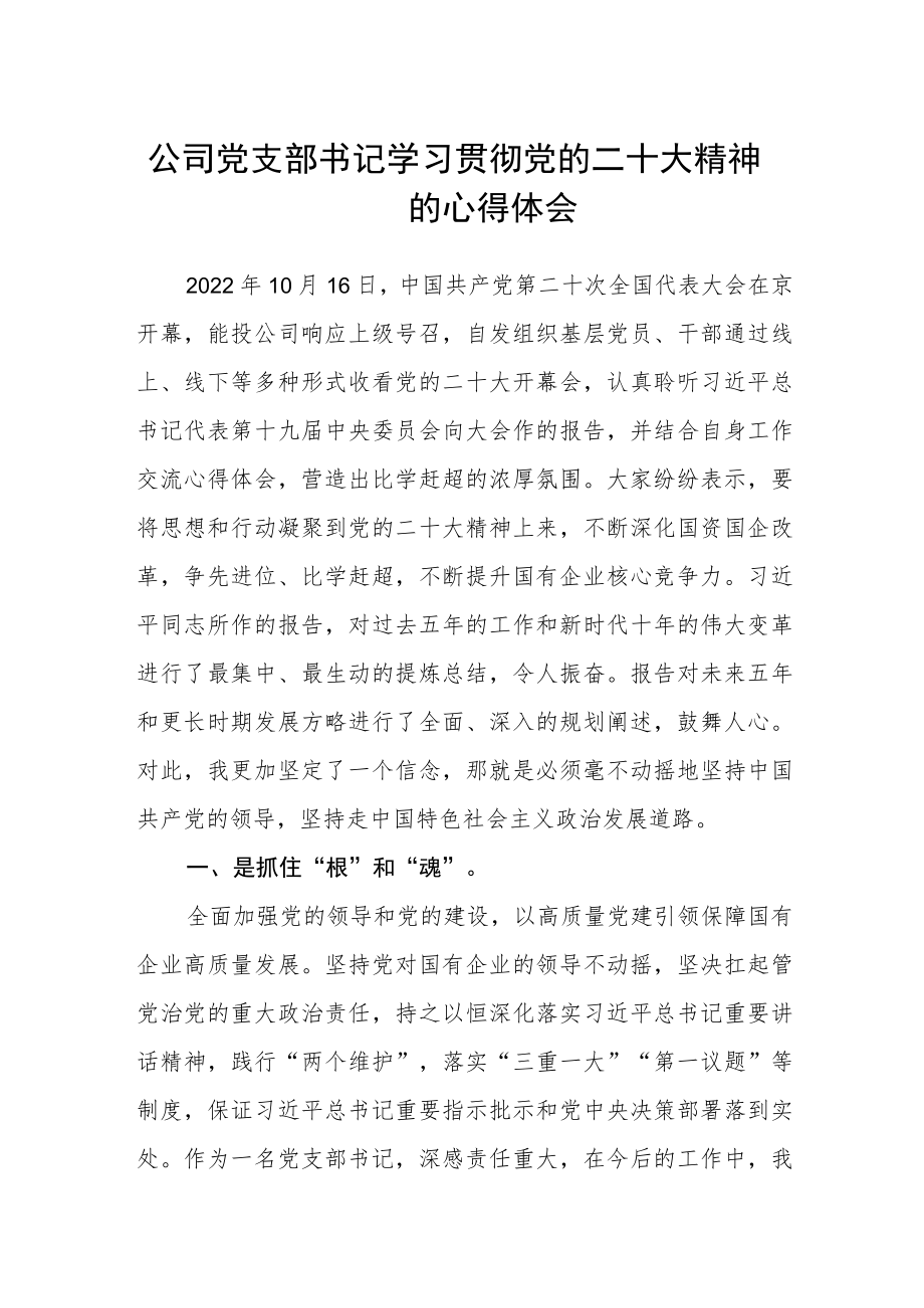公司党支部书记学习贯彻党的二十大精神的心得体会.docx_第1页