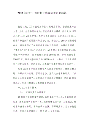 2023年驻村干部驻村工作调研报告共两篇.docx