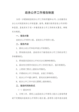 政务公开工作报告制度.docx