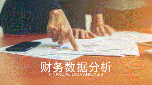 财务数据分析.pptx