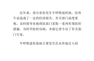 防控牛呼吸道传染病.pptx