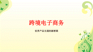 跨境电子商务培训.pptx