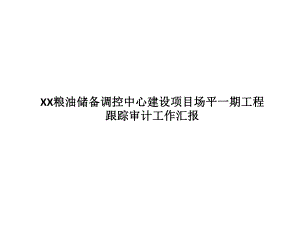 跟踪审计报告.pptx