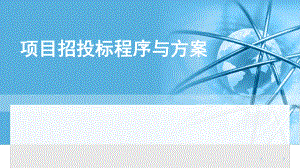 项目招投标程序与方案.pptx