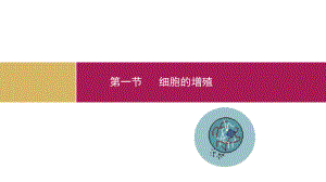 第一节细胞的增殖精品教育.ppt