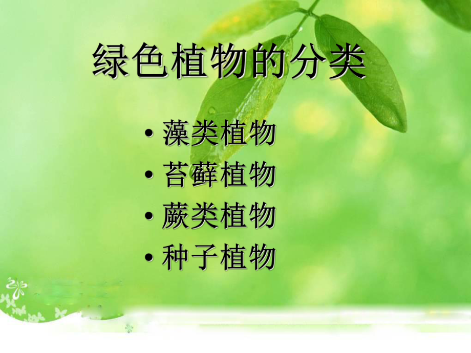 第一节藻类苔藓和蕨类植物精品教育.ppt_第2页