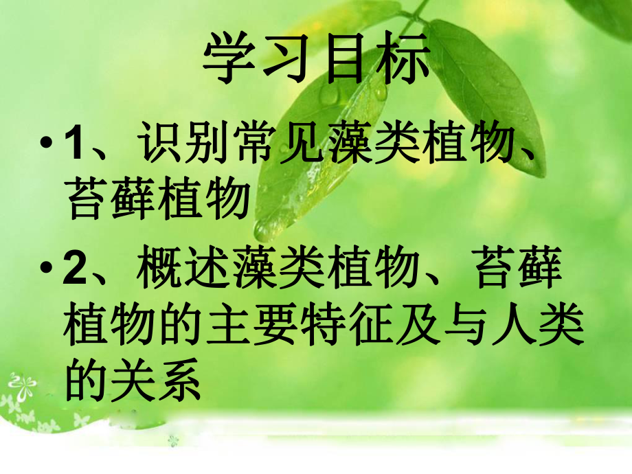 第一节藻类苔藓和蕨类植物精品教育.ppt_第3页