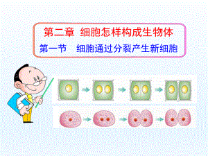 第一节细胞通过分裂产生新细胞精品教育.ppt
