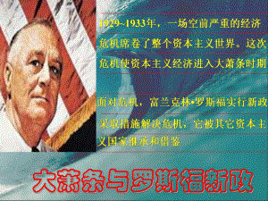 第15课大萧条与罗斯福新政[岳麓版][课件2]精品教育.ppt