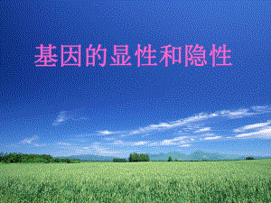 第三节基因的显性和隐性10精品教育.ppt