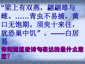 第一节植物的生殖1精品教育.ppt