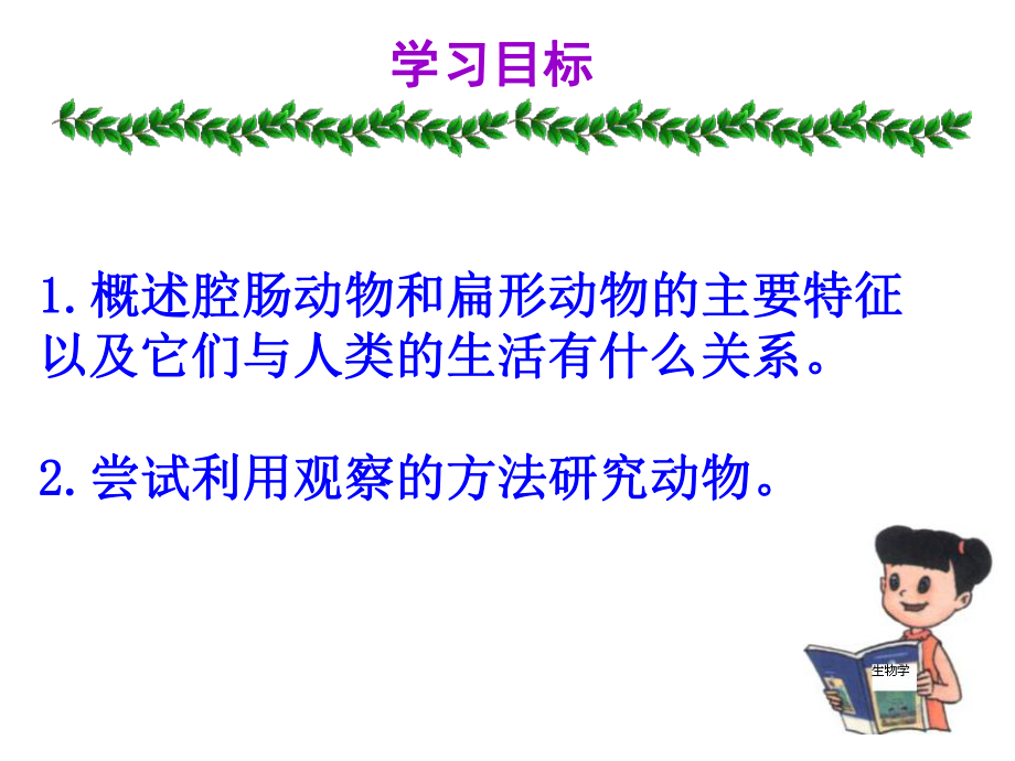 第一节腔肠动物和扁形动物(B案)精品教育.ppt_第3页