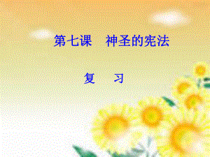 第七课神圣的宪法精品教育.ppt