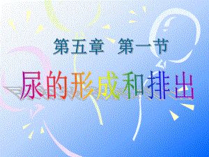 第一节尿的形成和排出精品教育.ppt