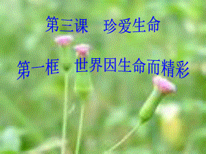 第一框世界因生命而精彩精品教育.ppt