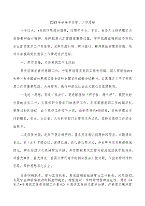 2023年半年单位意识工作总结.docx