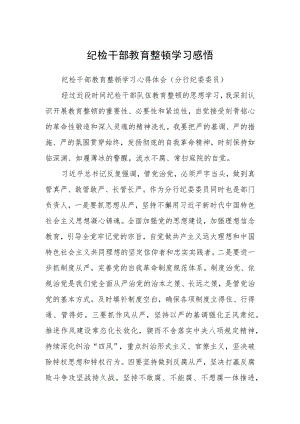 纪检干部教育整顿学习感悟（精选共三篇）.docx