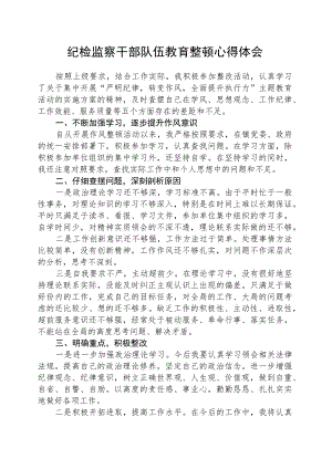 2023年纪检监察干部队伍教育整顿心得体会精选最新版3篇.docx