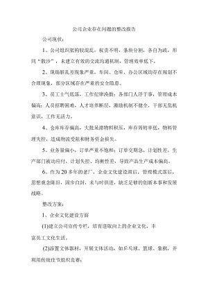 公司企业存在问题的整改报告.docx