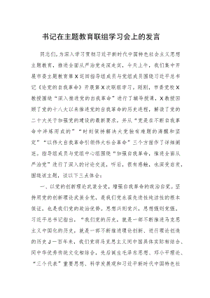 书记在主题教育联组学习会上的发言.docx
