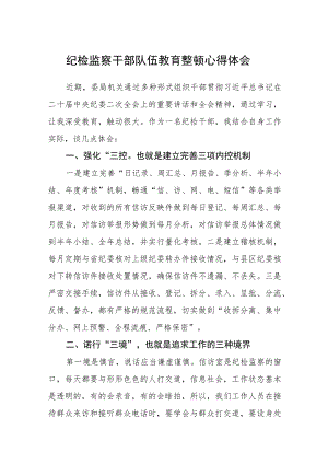 纪检监察干部队伍教育整顿心得体会(三篇)最新.docx