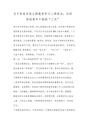 关于财政系统主题教育学习心得体会：过好财政青年干部的“三关”.docx