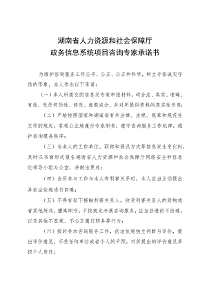 湖南省人力资源和社会保障厅政务信息系统项目咨询专家承诺书.docx
