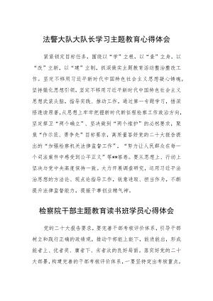 法警大队大队长学习主题教育心得体会（3篇）范本.docx