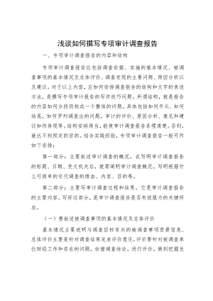 浅谈如何撰写专项审计调查报告.docx