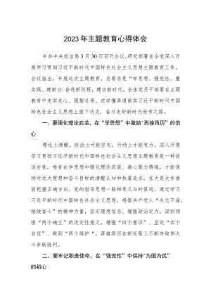 2023年主题教育心得体会范本合集三篇.docx