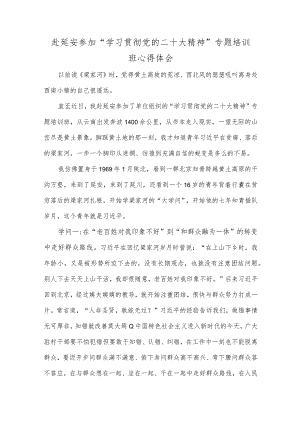 赴延安参加 “学习贯彻党的二十大精神”专题培训班心得体会.docx
