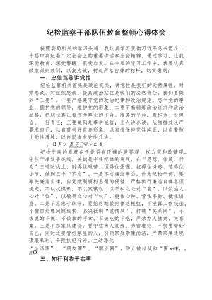 2023全国纪检监察干部队伍教育整顿活动的心得体会共五篇(最新精选).docx