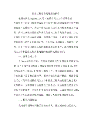 民生工程存在问题整改报告.docx