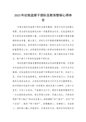 2023年纪检监察干部队伍教育整顿心得体会精选范文(3篇).docx