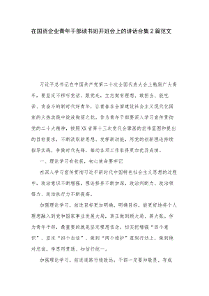 在国资企业青年干部读书班开班会上的讲话合集2篇范文.docx