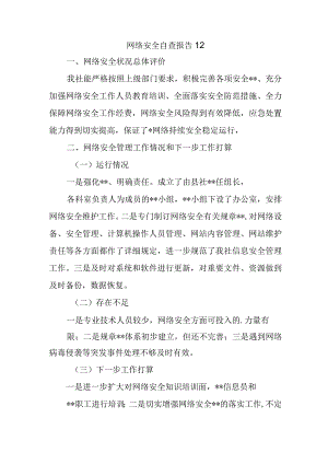 网络安全自查报告12.docx