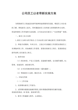 公司员工以老带新实施方案.docx