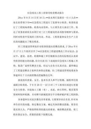 应急度汛工程工程督导检查整改报告.docx