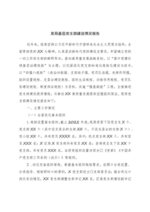 局基层党支部建设情况报告.docx