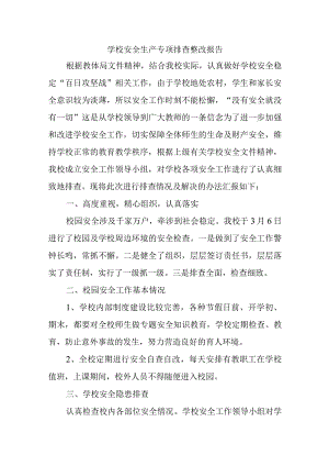 学校安全生产专项排查整改报告.docx