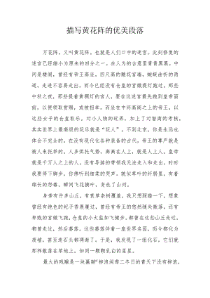 描写黄花阵的优美段落.docx