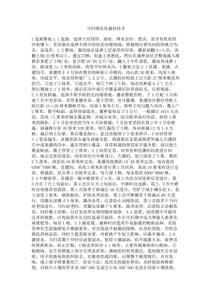 当归规范化栽培技术.docx