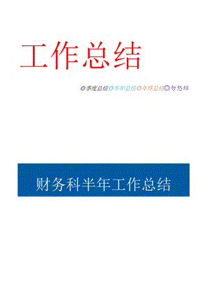 财务科半年工作总结.docx