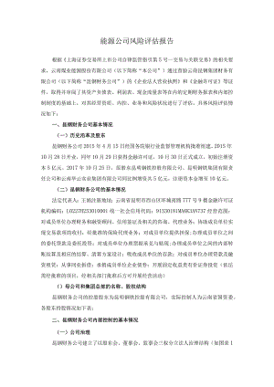 能源公司风险评估报告.docx