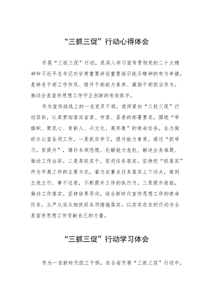 落实“三抓三促”行动心得体会3篇.docx