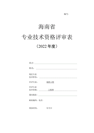 海南省专业技术资格评审表（工程师）.docx