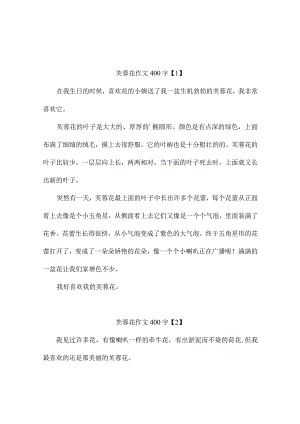 芙蓉花作文400字4篇.docx