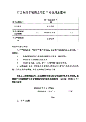 聚力创新十条政策信用承诺书.docx