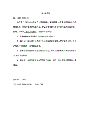 投标人承诺函.docx