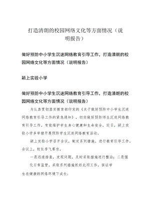 打造清朗的校园网络文化等方面情况(说明报告).docx